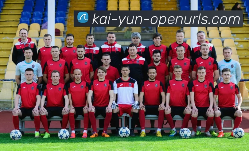 App Interface Preview